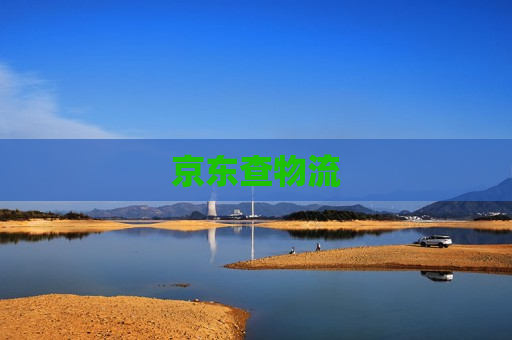 京东查物流