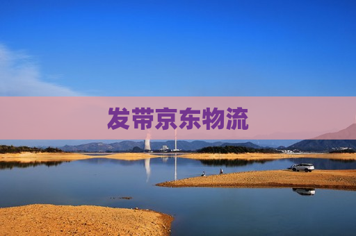 发带京东物流