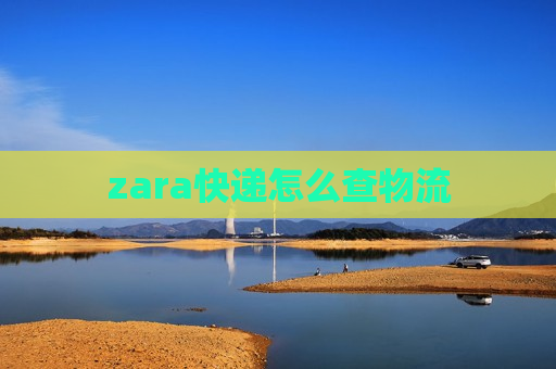 zara快递怎么查物流