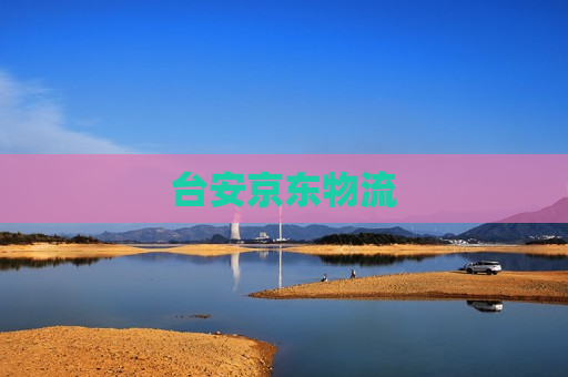 台安京东物流