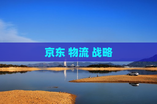 京东 物流 战略