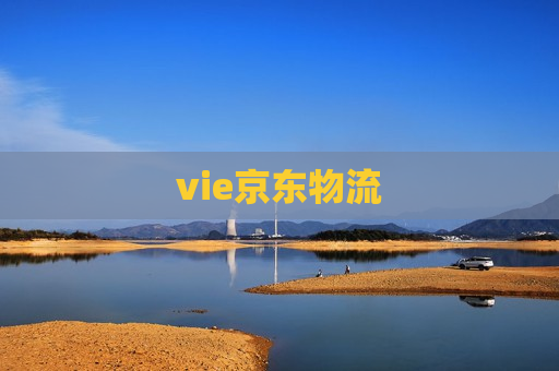 vie京东物流