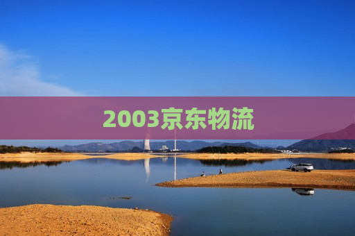 2003京东物流