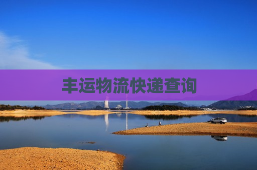 丰运物流快递查询