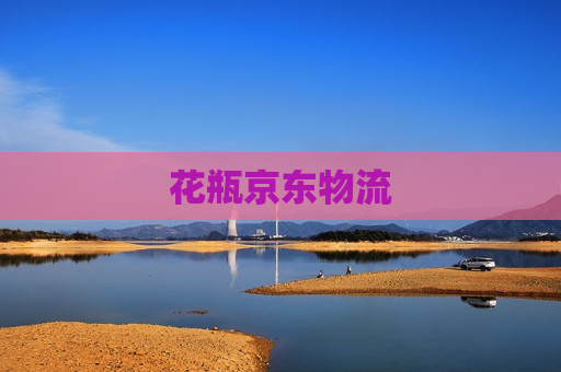 花瓶京东物流