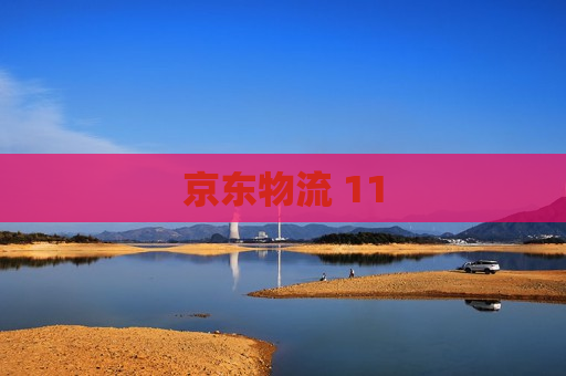 京东物流 11