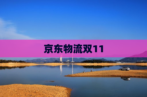 京东物流双11