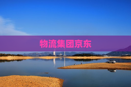 物流集团京东