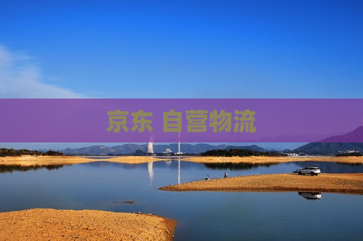 京东 自营物流