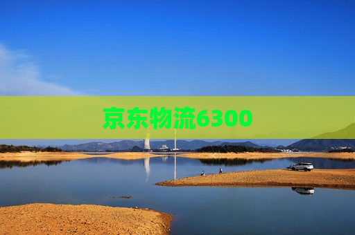 京东物流6300