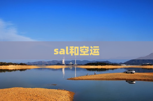 sal和空运