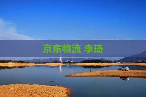 京东物流 李琦