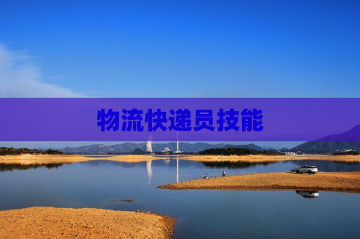 物流快递员技能