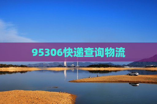 95306快递查询物流