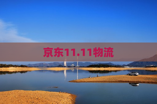 京东11.11物流