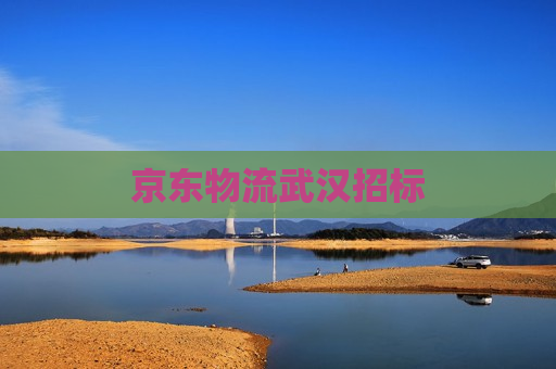 京东物流武汉招标