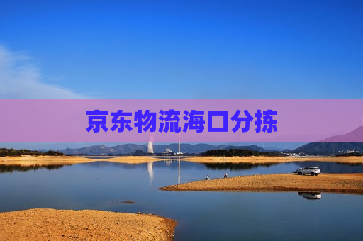 京东物流海口分拣