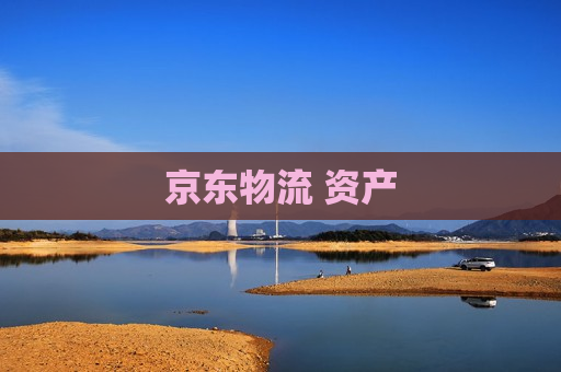 京东物流 资产