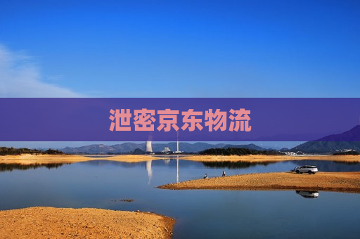 泄密京东物流