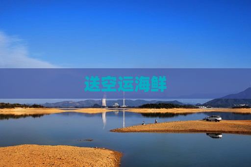 送空运海鲜