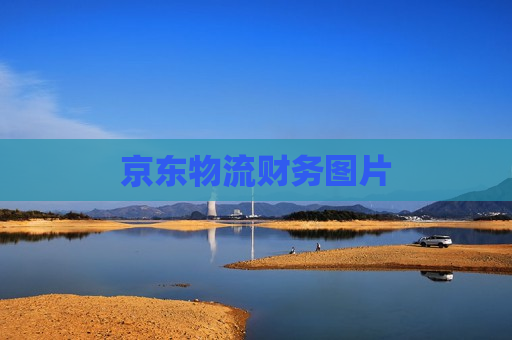 京东物流财务图片