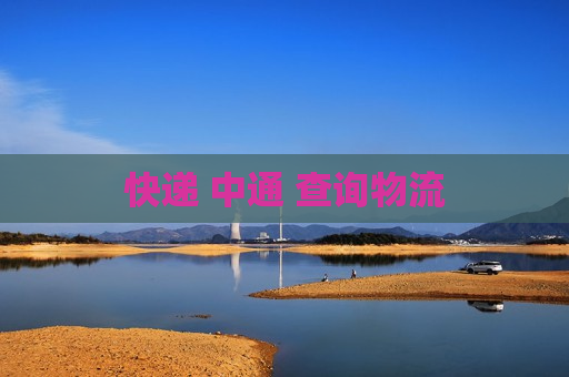 快递 中通 查询物流