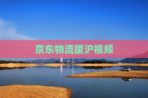 京东物流援沪视频