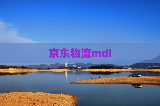 京东物流mdi