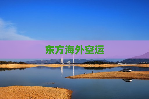 东方海外空运