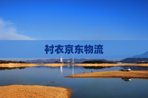 衬衣京东物流