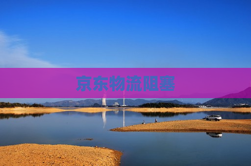 京东物流阻塞