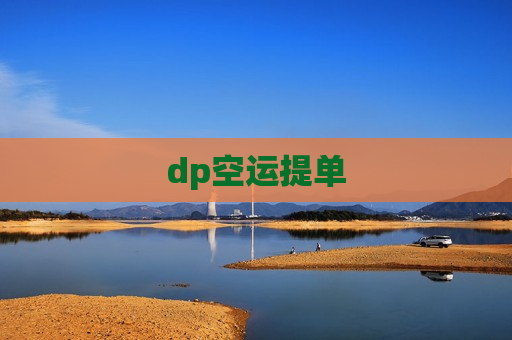 dp空运提单