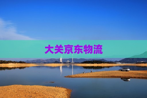 大关京东物流