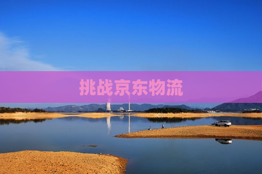 挑战京东物流