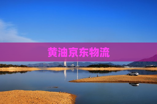 黄油京东物流