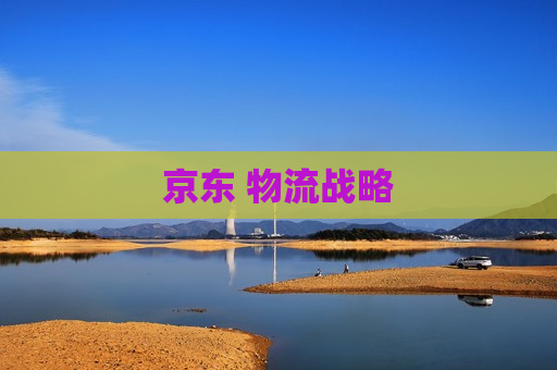 京东 物流战略