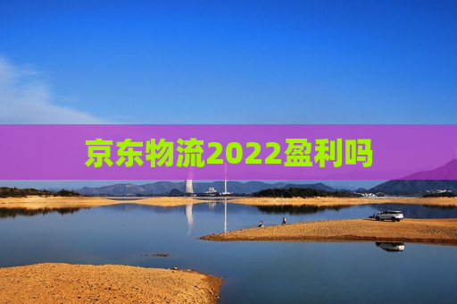 京东物流2022盈利吗