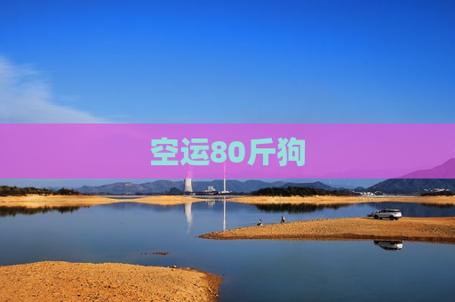 空运80斤狗