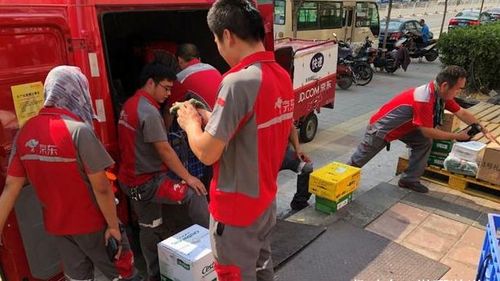 双城京东丽水快递员电话_丽水京东物流图片